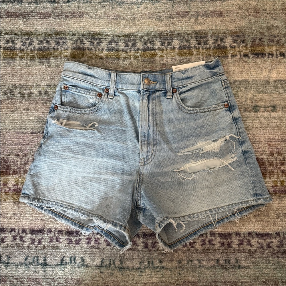 American Eagle Outfitters Light Blue Ripped Jean Shorts